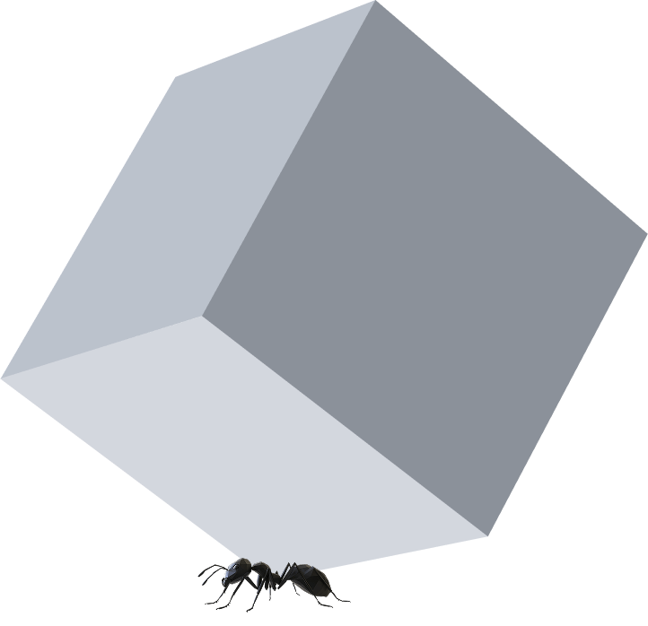 Viden ant carrying a block illustration